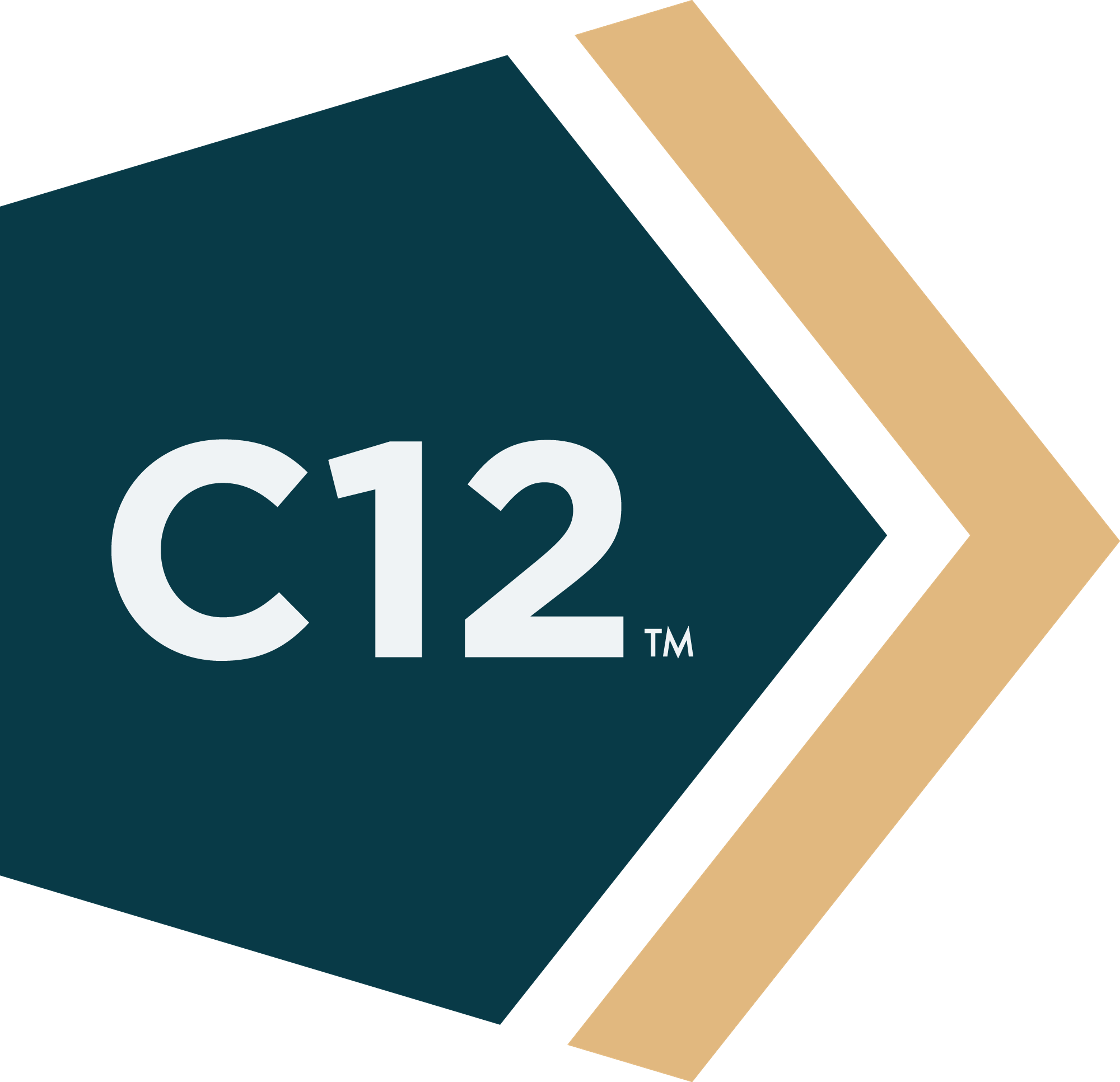 C12 Logo